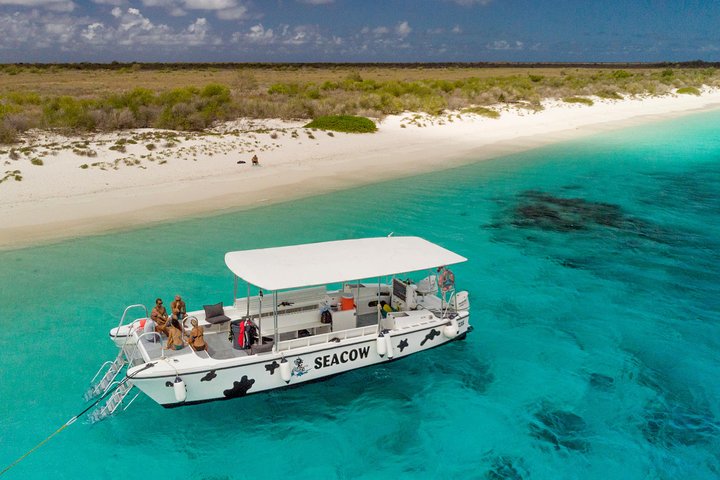 Double Dip Snorkel Trip