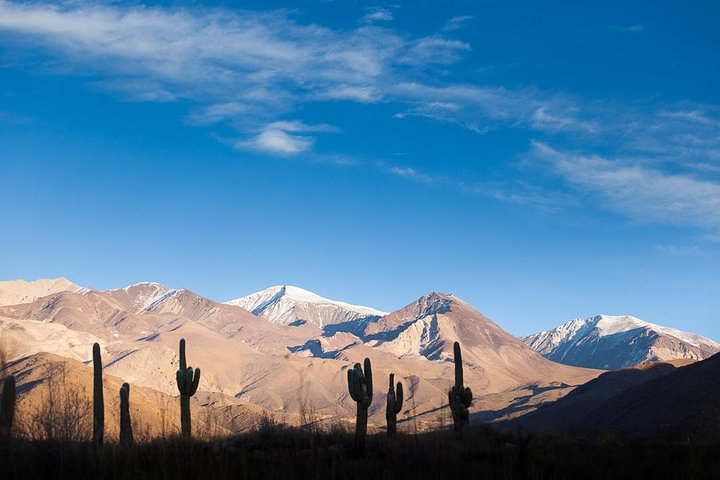 Unveiling Cafayate: Premium Wine Road Adventure