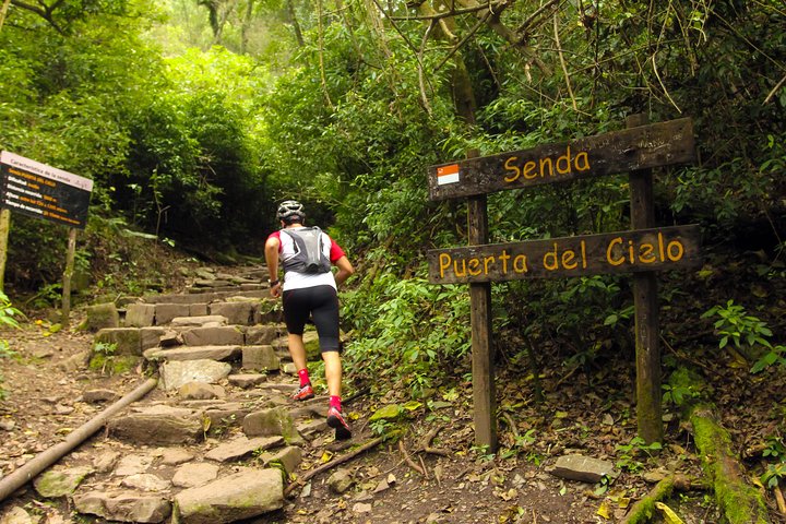 Yungas Half-Day Tour from Tucuman