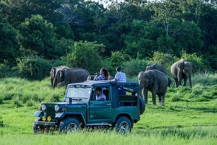 2 Days Tour of Double Safari (Yala & Udawalawe) - All Inclusive
