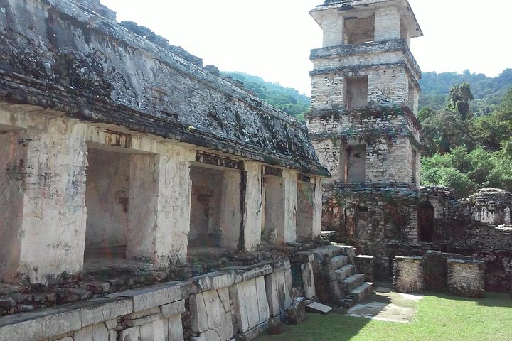 Palenque Archaeological Zone Day Trip from Villahermosa