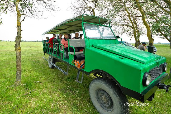GROUP Guided Day Trip to the Danube Delta, Tulcea - Letea