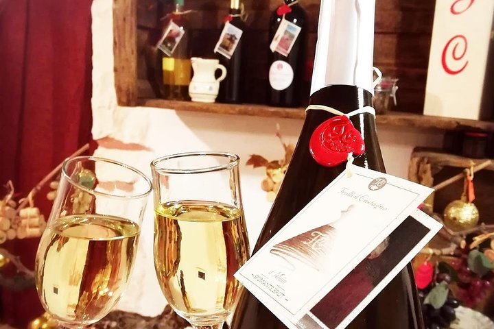 Wine Experience: vineyard, wines and food