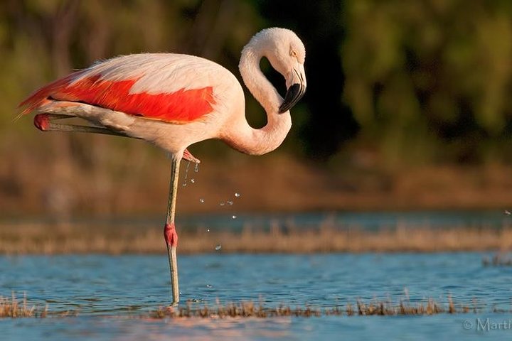 Full-Day Tour to Laguna de los Pozuelos from Tilcara