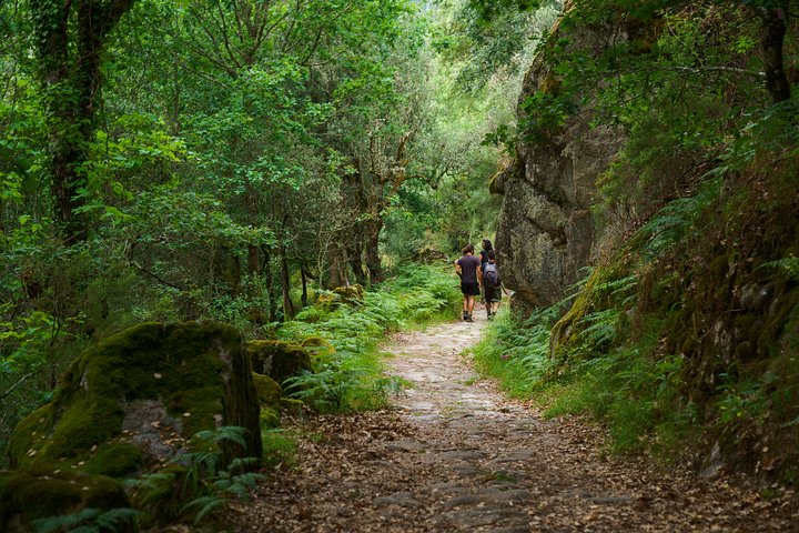 From Porto: Waterfall, Lagoon, Old Village in Gerês National Park