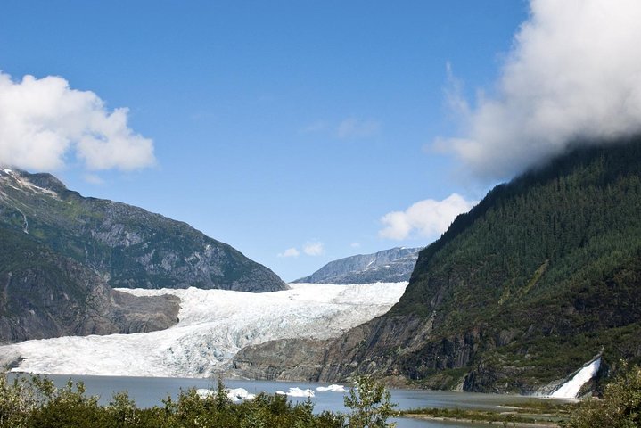 Mendenhall Glacier Trolley Tour