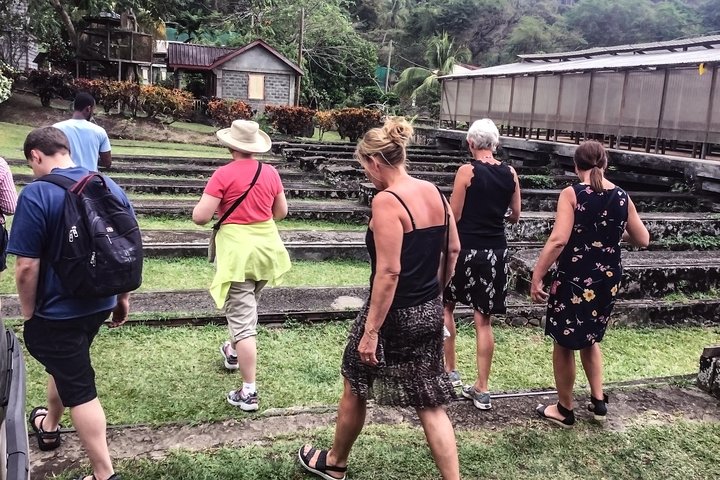 Chocolate Factory Belmont Estate, Annandale Falls & Grand Etang Lake Tour