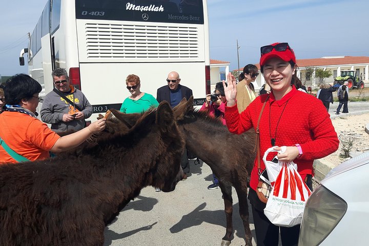 An unforgettable day in Karpaz Peninsula