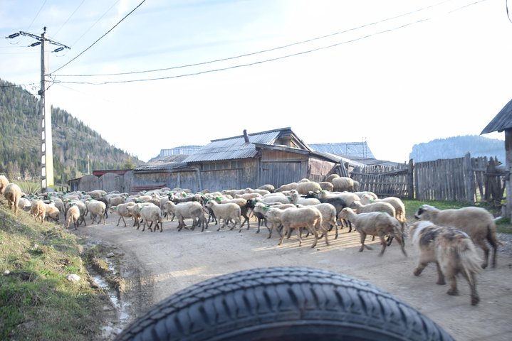 Full Day 4x4 Tour in the Eastern Carpathians