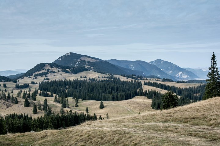 Full Day 4x4 Tour in the Eastern Carpathians