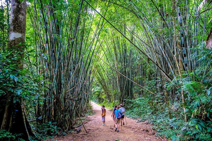 1 Day Khao Sok Jungle Safari and 2 Days Cheow Lan Lake Explorer from Krabi
