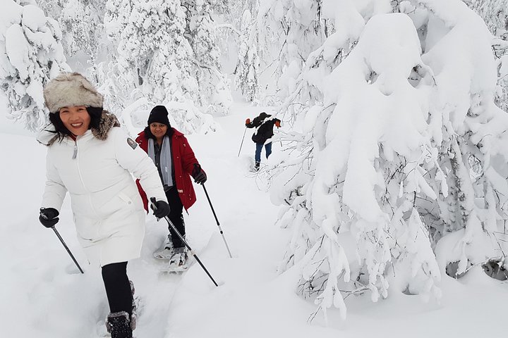 Snowshoeing in Pyha-Luosto Lapland