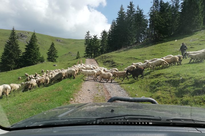 Half-Day 4x4 Tour in the Eastern Carpathians