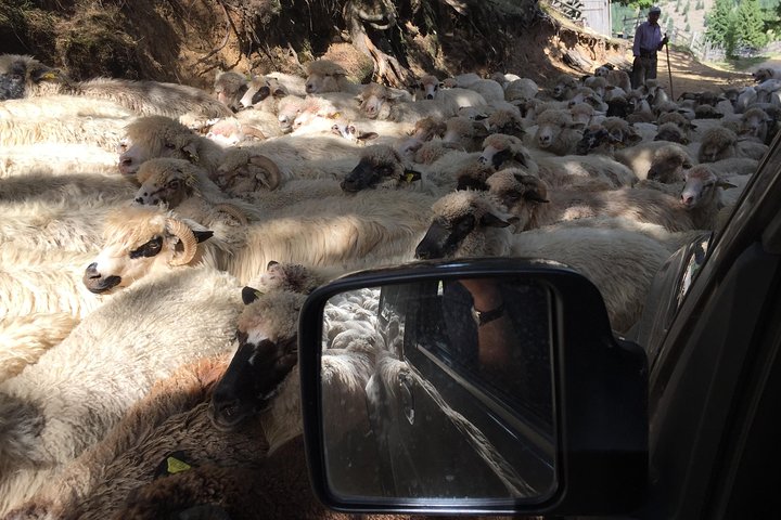 Half-Day 4x4 Tour in the Eastern Carpathians