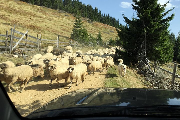 Half-Day 4x4 Tour in the Eastern Carpathians