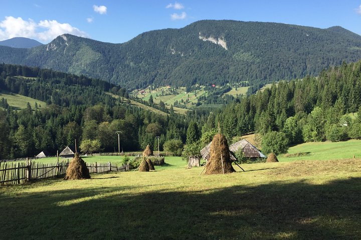 Half-Day 4x4 Tour in the Eastern Carpathians