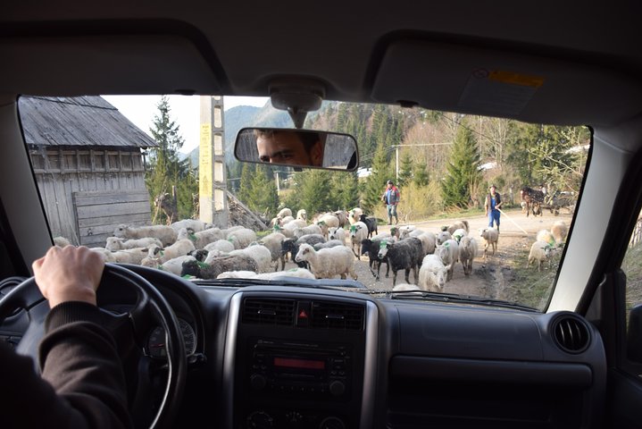 Half-Day 4x4 Tour in the Eastern Carpathians
