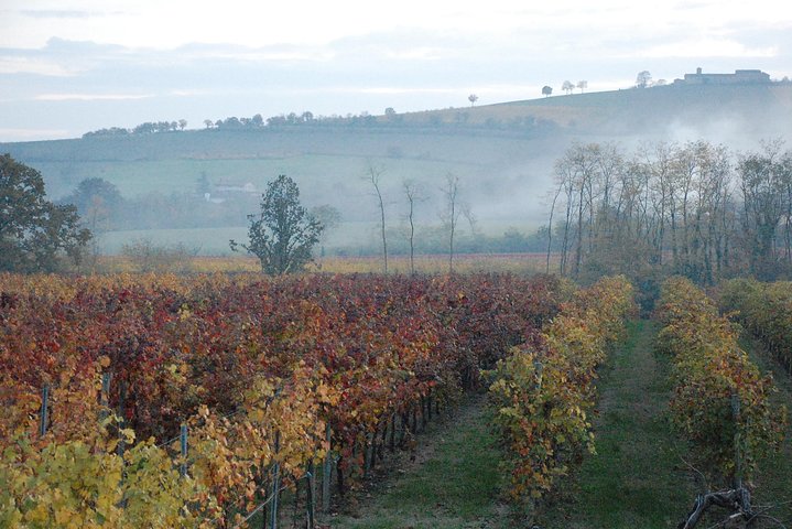 From Parma: Parmigiano,Prosciutto and winery Tour and tasting