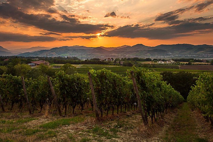From Parma: Parmigiano,Prosciutto and winery Tour and tasting