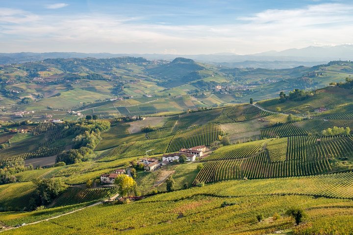 Private Tour: Barolo Wine Tasting in Langhe area from Torino