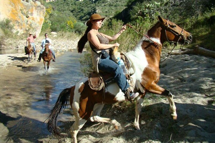 Half-Day Horseback Riding Adventure