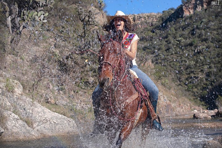 Half-Day Horseback Riding Adventure