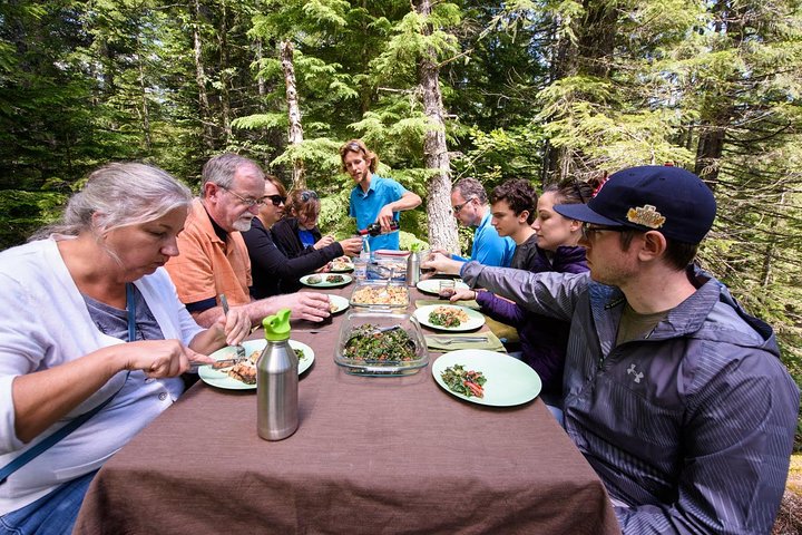 Best of Olympic National Park from Seattle: All-Inclusive Small-Group Day Tour