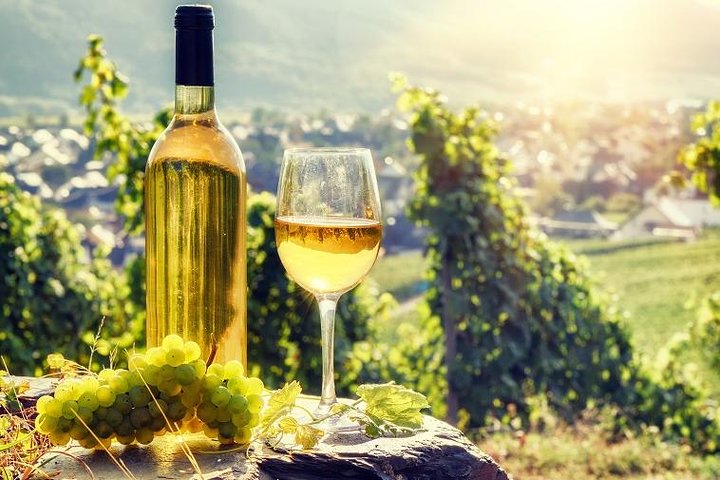Alsace Half Day Wine Tour from Colmar