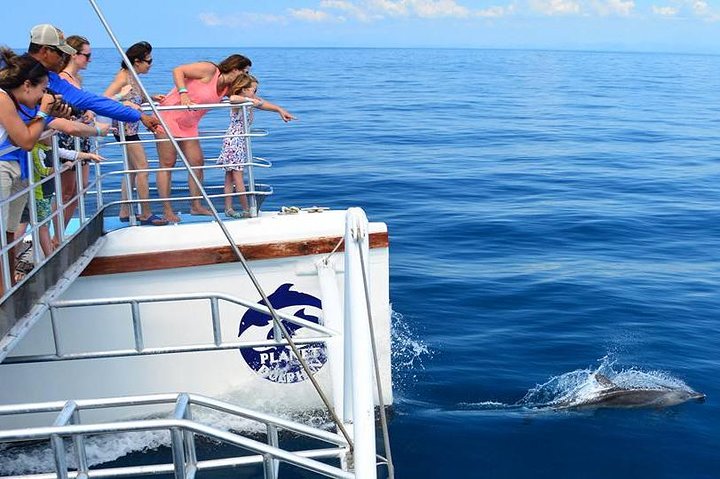 All Inclusive Catamaran Eco Adventure from Manuel Antonio