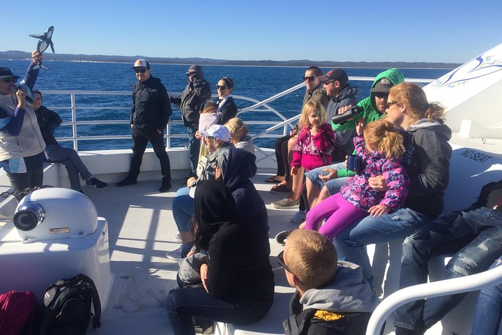 Hervey Bay Whale Watching Experience