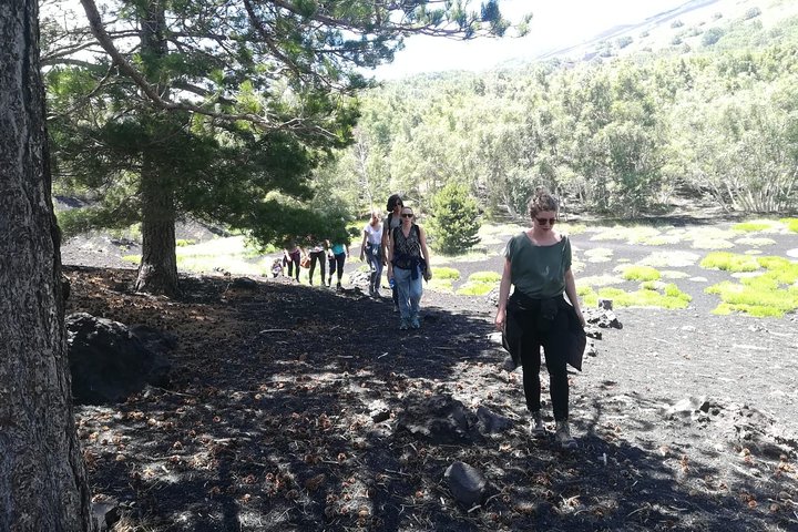 Mount Etna Half-Day Small Group Tour from Taormina
