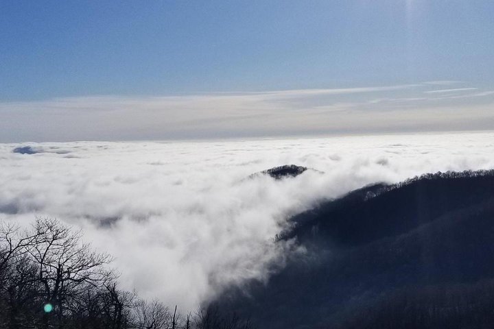 Blue Ridge Parkway and Waterfall Hiking Tour from Asheville
