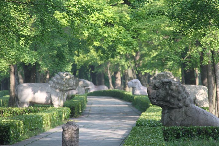 Half-Day Private Customized Nanjing City Tour