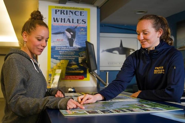 Victoria Zodiac Boat Whale Watching Adventure
