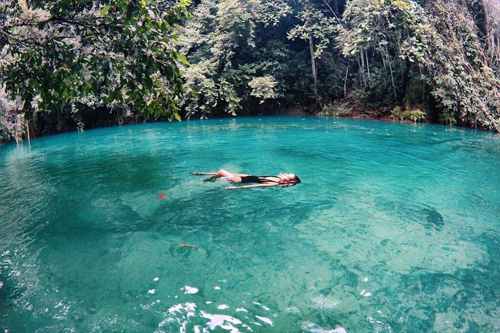 Cebu: Oslob Whale Shark Swimming and Kawasan Falls Canyoneering