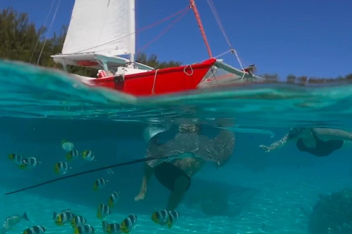PRIVATE Half Day Tour : Moorea Snorkeling & Sailing on a Catamaran named Taboo