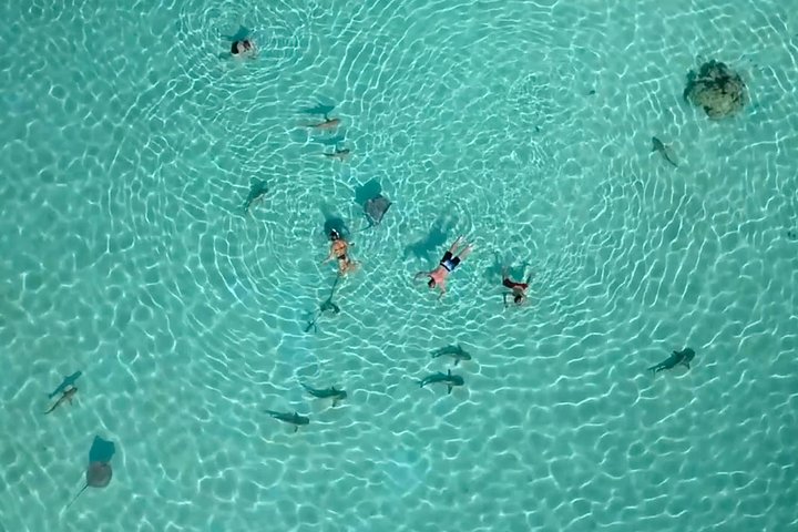 Half Day Tour : Moorea Snorkeling & Sailing on a Catamaran named Taboo