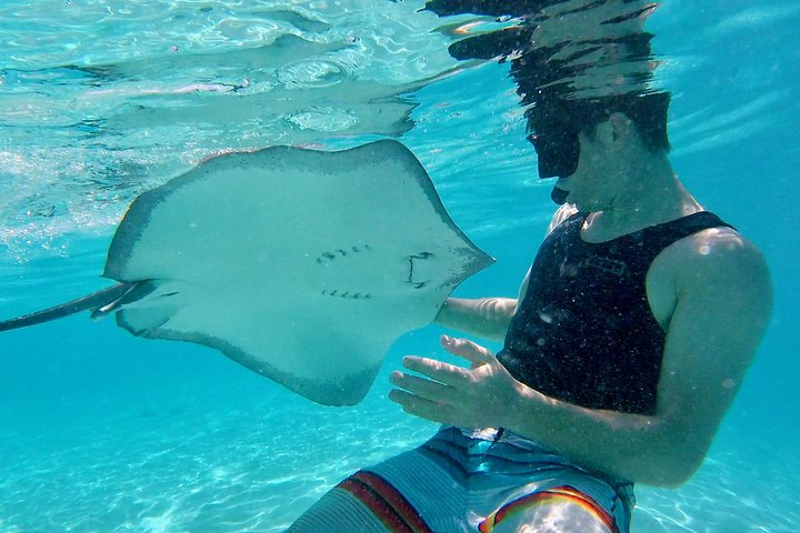 PRIVATE Half Day Tour : Moorea Snorkeling & Sailing on a Catamaran named Taboo