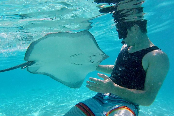 Half Day Tour : Moorea Snorkeling & Sailing on a Catamaran named Taboo