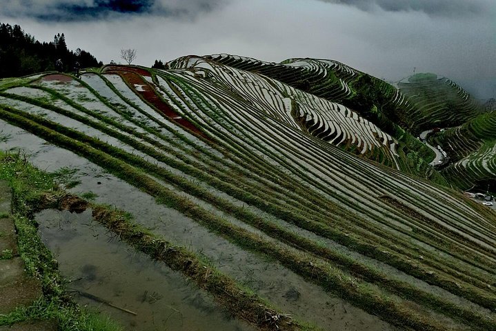 Private Transfer from Fenghuang to Guilin and stops at Longji Terraces