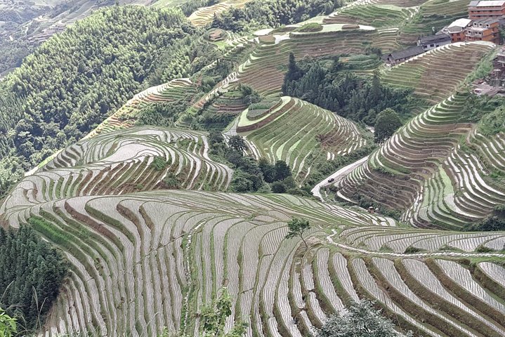 Private Transfer from Fenghuang to Guilin and stops at Longji Terraces