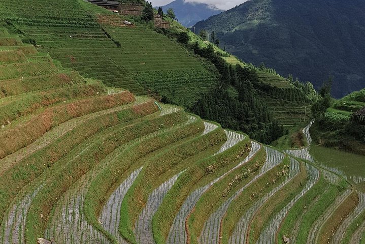 Private Transfer from Fenghuang to Guilin and stops at Longji Terraces