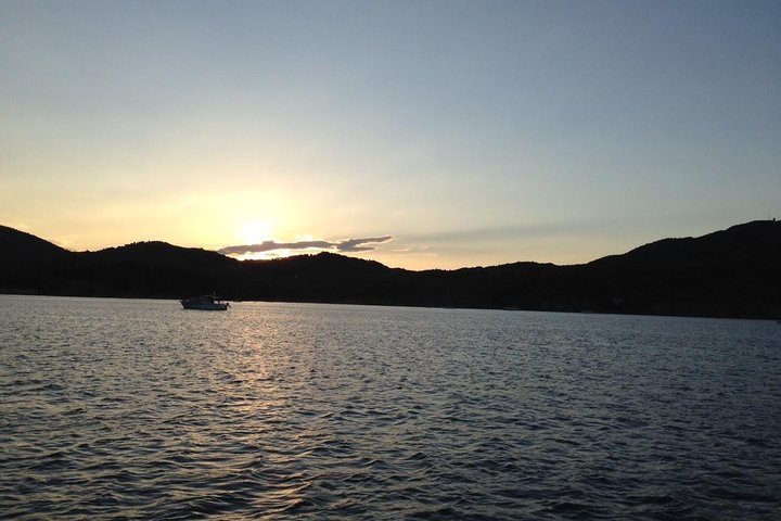 Nausicaa. Discover Collioure and the Côte Vermeille from the sea.