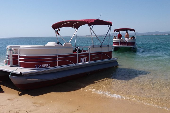 Ria Formosa Natural Park and Islands Boat Cruise from Faro