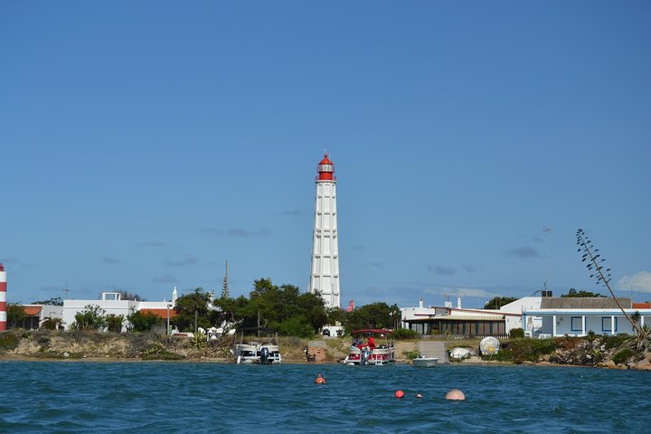 Ria Formosa Natural Park and Islands Boat Cruise from Faro