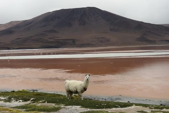 Luxury Uyuni Salt Flats 3D 2N Tour From La Paz by Air