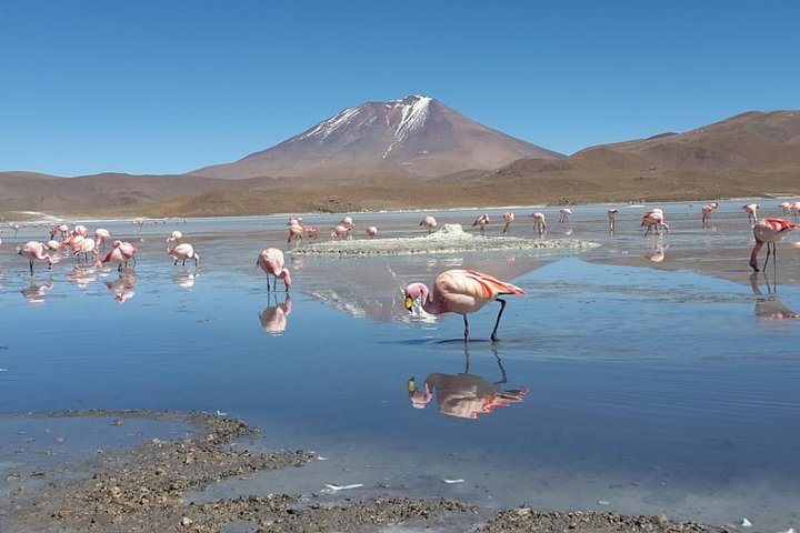Luxury Uyuni Salt Flats 3D 2N Tour From La Paz by Air