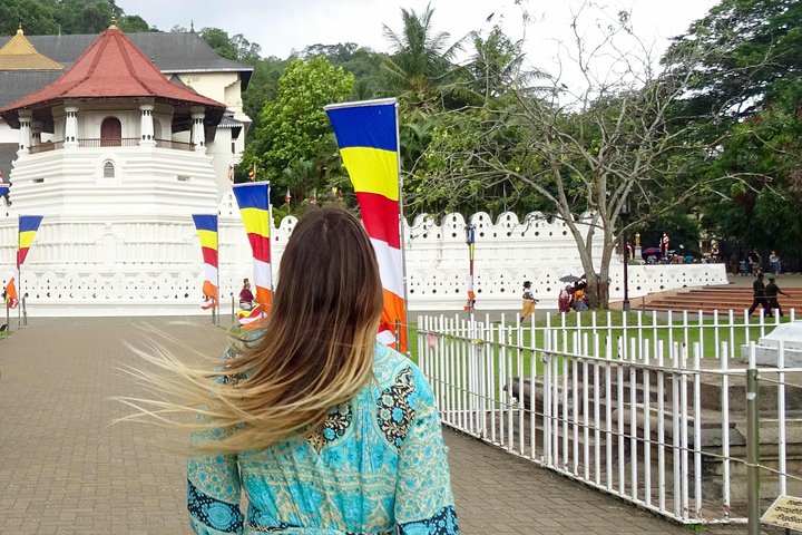 03 Days Highlights Of Sigiriya,Kandy,Nuwara Eliya ,Ella & Udawalawe