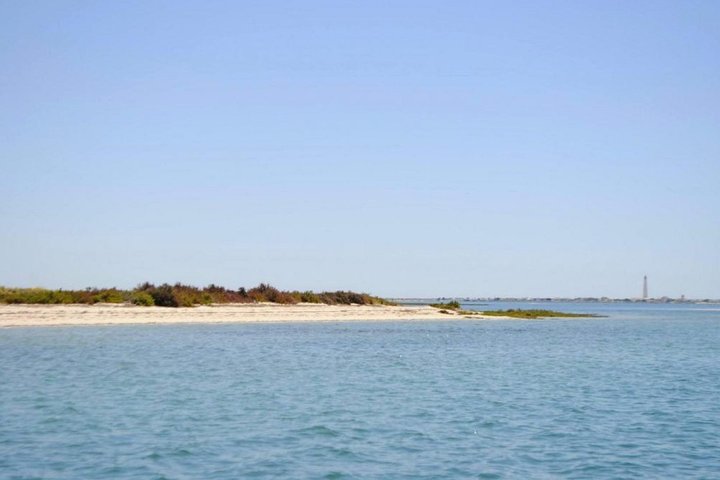 Eco Boat Tour in the Ria Formosa Lagoon from Faro