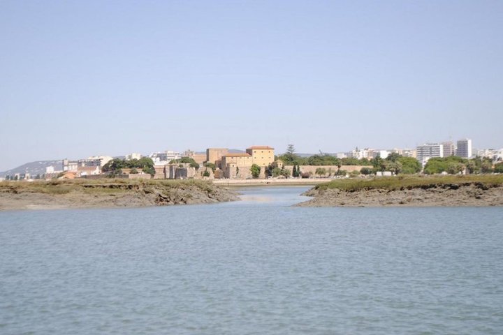 Eco Boat Tour in the Ria Formosa Lagoon from Faro